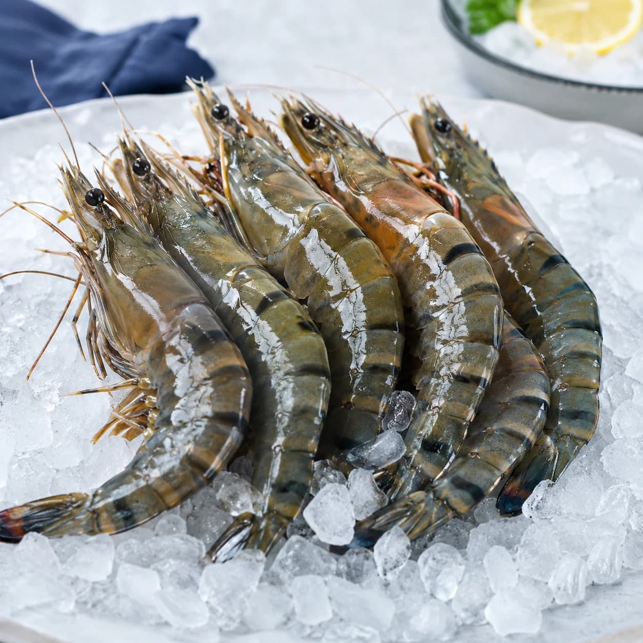 IQF Tiger Prawn (21/25)