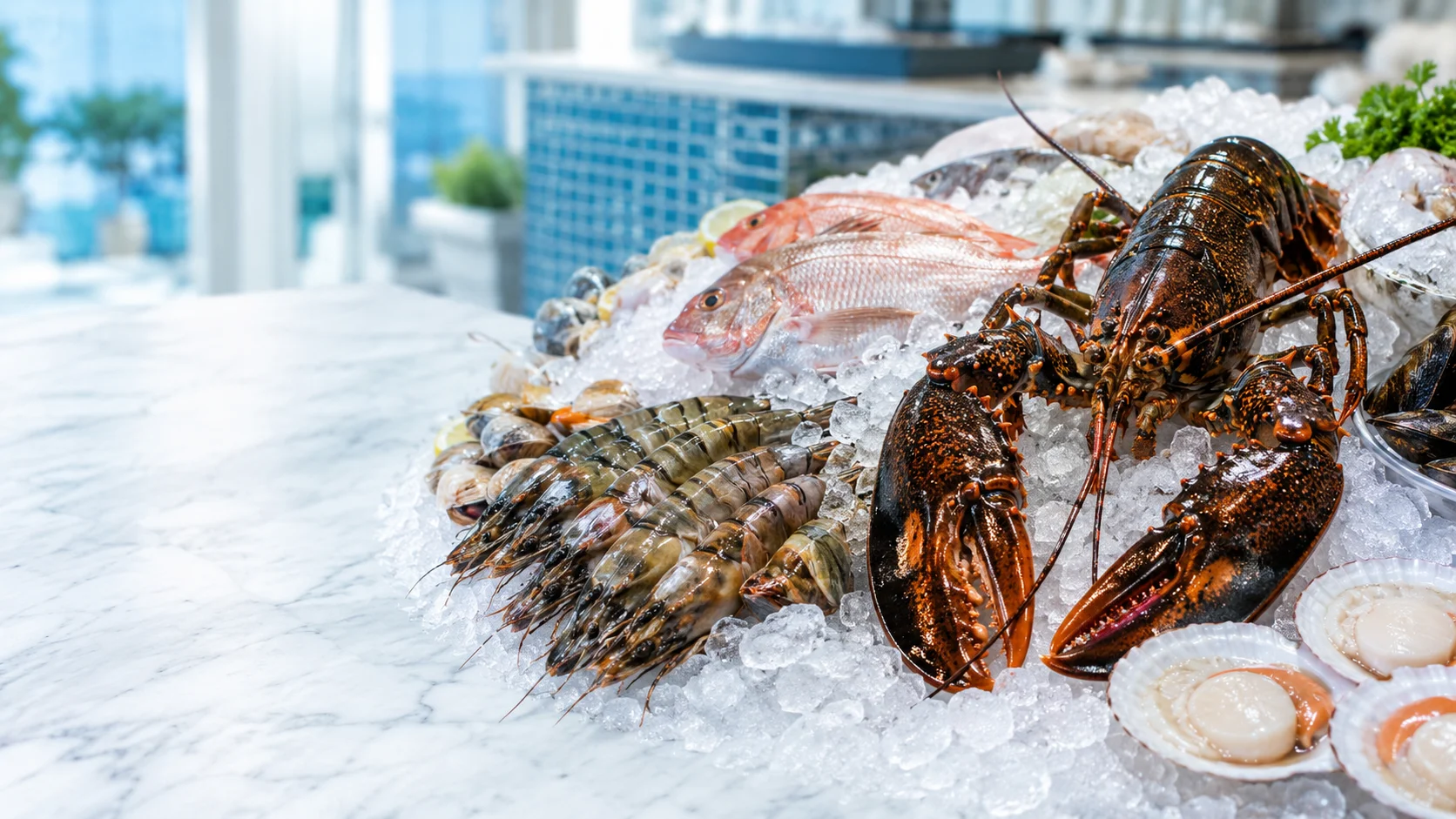 All Seafood